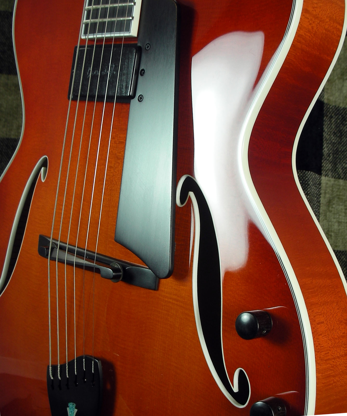  - Benedetto Bravo Deluxe Serial No S2082 archtop jazz guitar photo by Cindy Benedetto